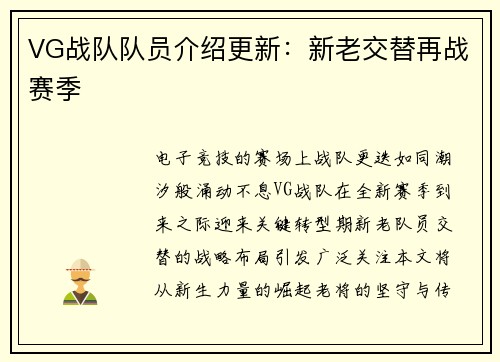 VG战队队员介绍更新：新老交替再战赛季